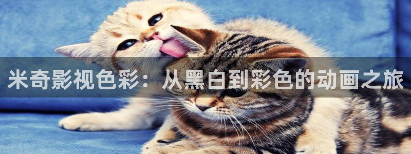 秋霞电影网被窝