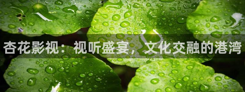 被窝影院午夜片